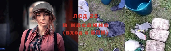 тгк Бородино
