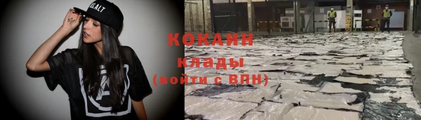 тгк Бородино