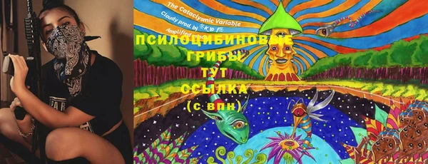 тгк Бородино