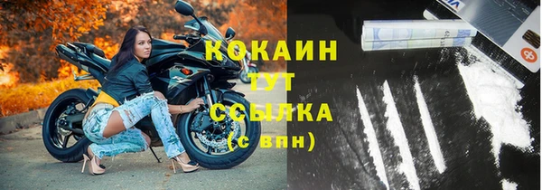 тгк Бородино