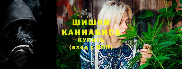 крисы Бугульма