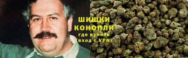 тгк Бородино