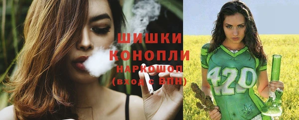 тгк Бородино