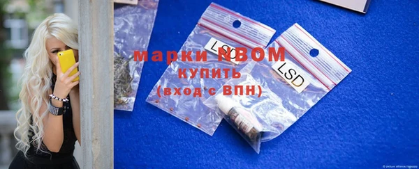 тгк Бородино