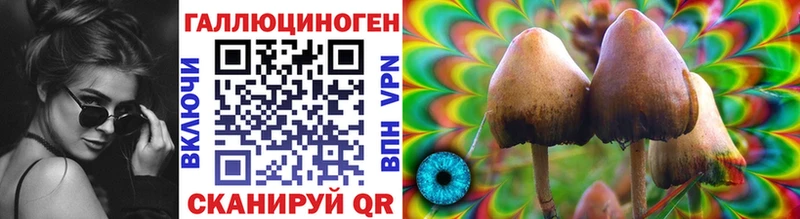 Псилоцибиновые грибы Magic Shrooms Ростов